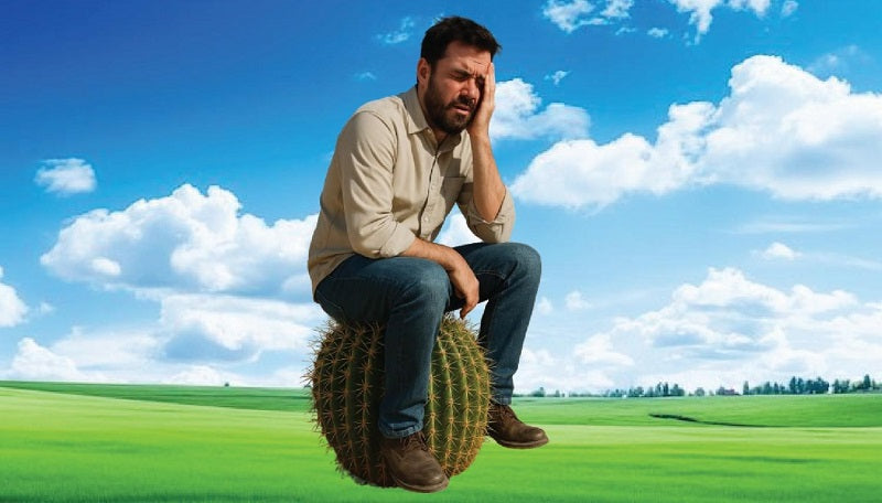 What are Hemorrhoids and fissures?https://shaiganhealthcare.com/collections/stiva-natural-stevia-sweetener-pakistan-bundle-of-4