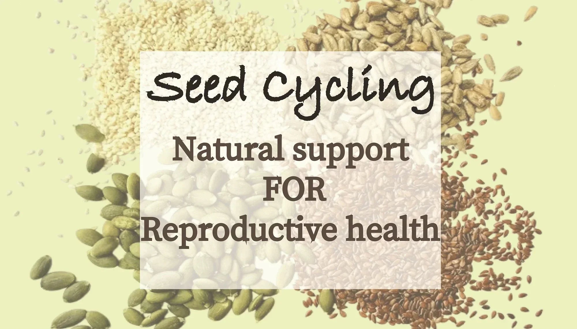 How Effective Is Seed Cycling For PCOS? What You Need To Know