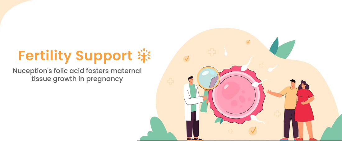 Fertility Support Shaigan Healthcare